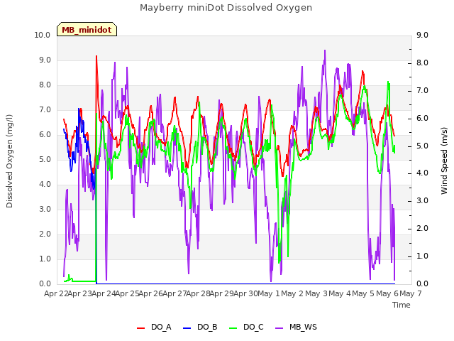 plot of Mayberry miniDot Dissolved Oxygen
