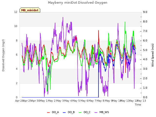 plot of Mayberry miniDot Dissolved Oxygen