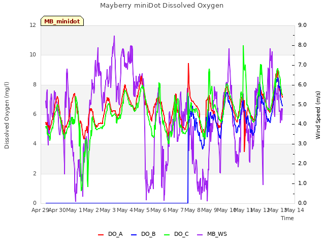 plot of Mayberry miniDot Dissolved Oxygen