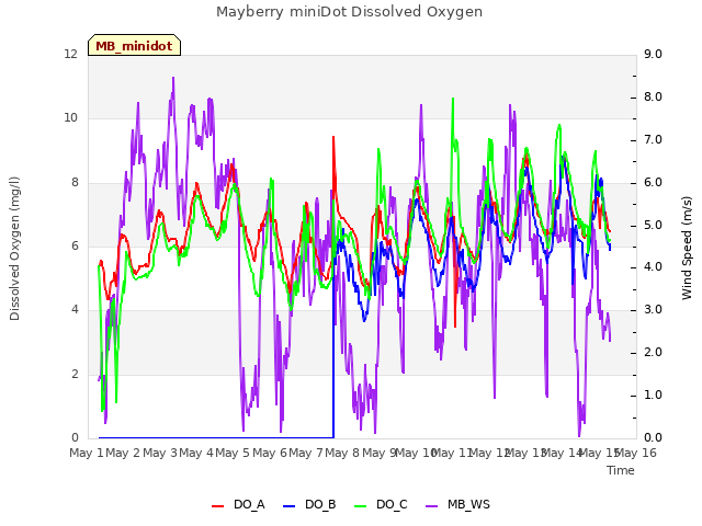 plot of Mayberry miniDot Dissolved Oxygen