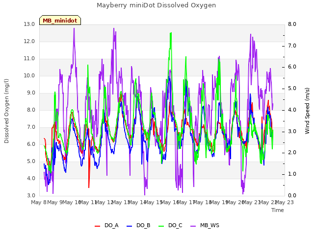 plot of Mayberry miniDot Dissolved Oxygen