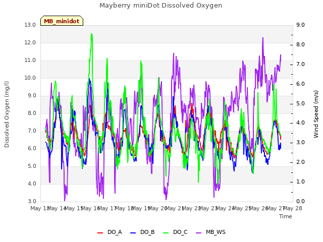 plot of Mayberry miniDot Dissolved Oxygen