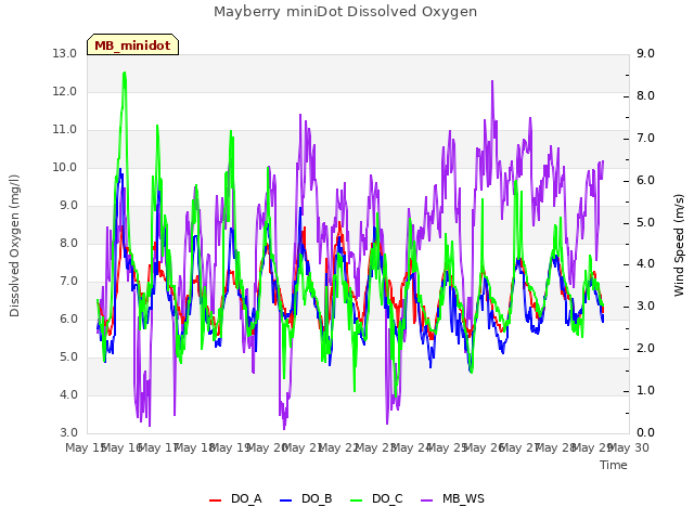 plot of Mayberry miniDot Dissolved Oxygen