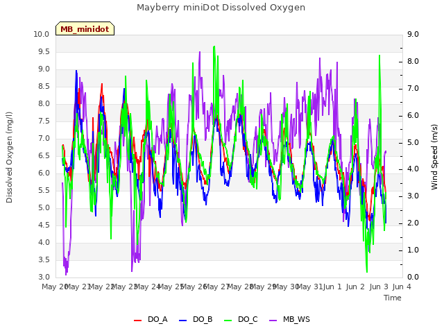 plot of Mayberry miniDot Dissolved Oxygen