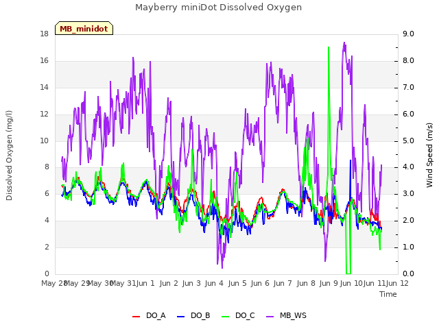 plot of Mayberry miniDot Dissolved Oxygen