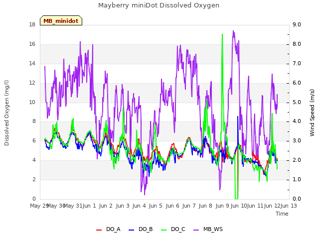 plot of Mayberry miniDot Dissolved Oxygen