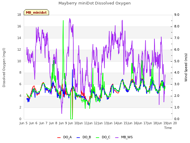 plot of Mayberry miniDot Dissolved Oxygen