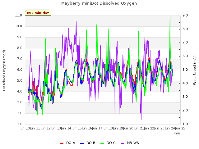 plot of Mayberry miniDot Dissolved Oxygen