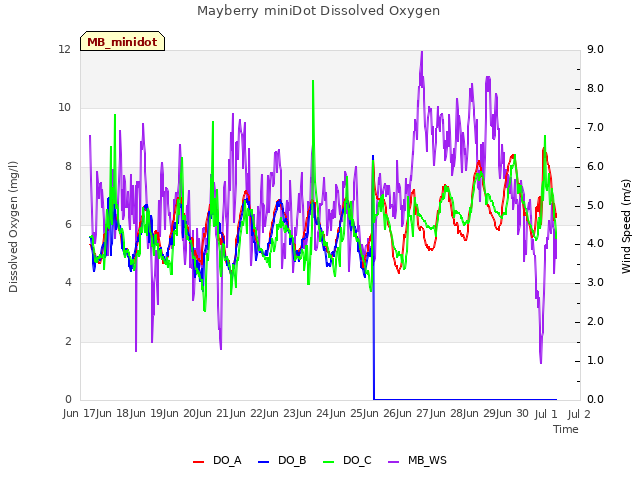 plot of Mayberry miniDot Dissolved Oxygen