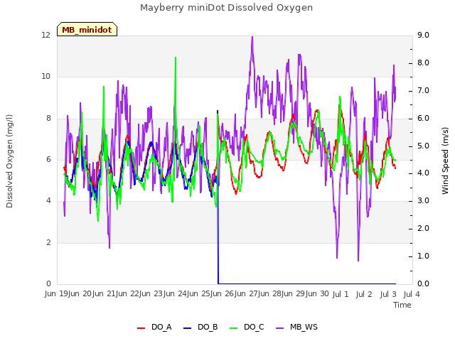 plot of Mayberry miniDot Dissolved Oxygen