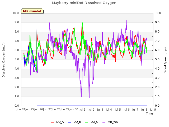 plot of Mayberry miniDot Dissolved Oxygen