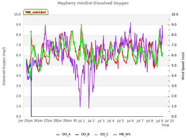 plot of Mayberry miniDot Dissolved Oxygen