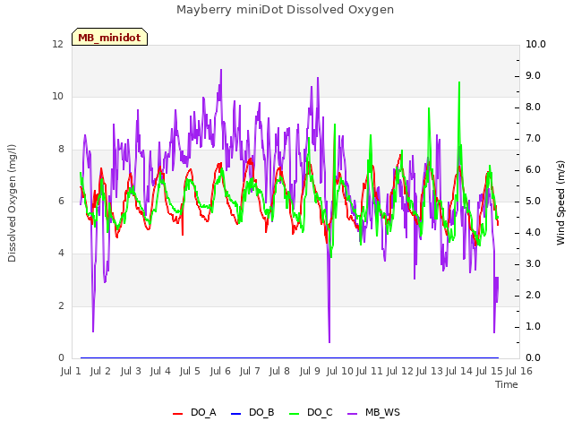 plot of Mayberry miniDot Dissolved Oxygen