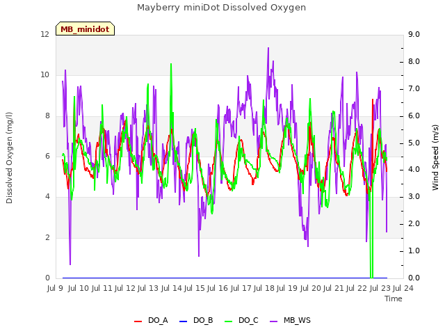 plot of Mayberry miniDot Dissolved Oxygen