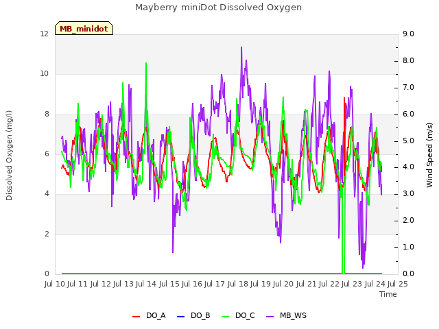 plot of Mayberry miniDot Dissolved Oxygen