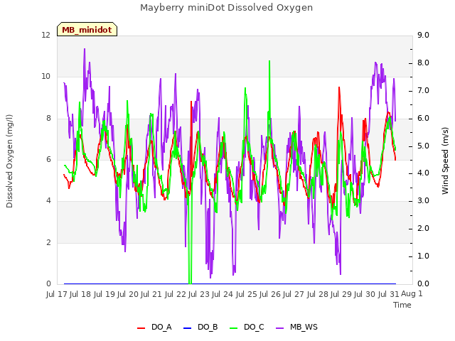 plot of Mayberry miniDot Dissolved Oxygen