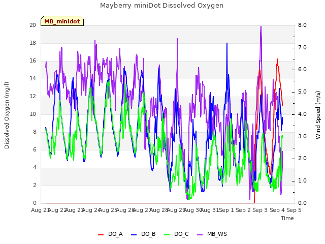 plot of Mayberry miniDot Dissolved Oxygen