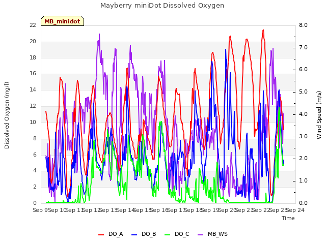 plot of Mayberry miniDot Dissolved Oxygen