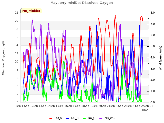 plot of Mayberry miniDot Dissolved Oxygen