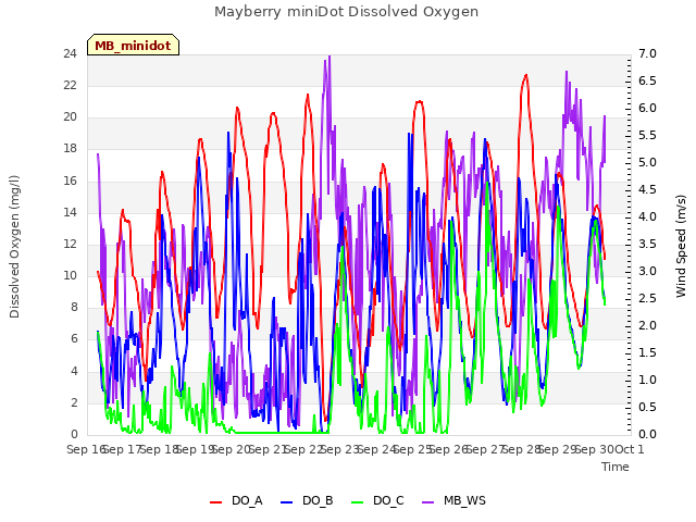 plot of Mayberry miniDot Dissolved Oxygen