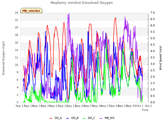 plot of Mayberry miniDot Dissolved Oxygen