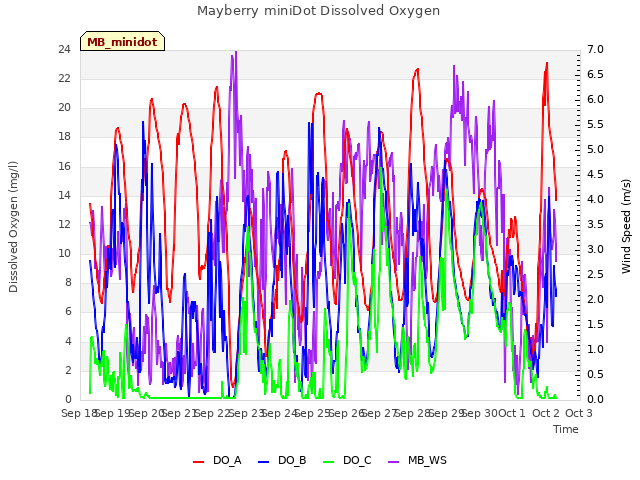 plot of Mayberry miniDot Dissolved Oxygen