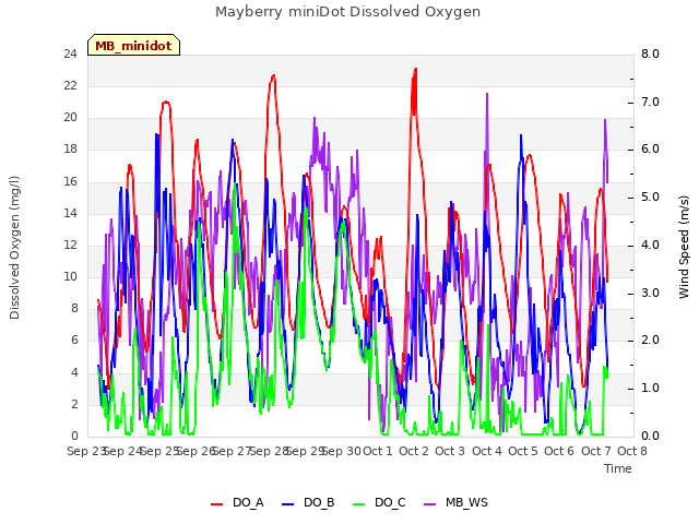 plot of Mayberry miniDot Dissolved Oxygen