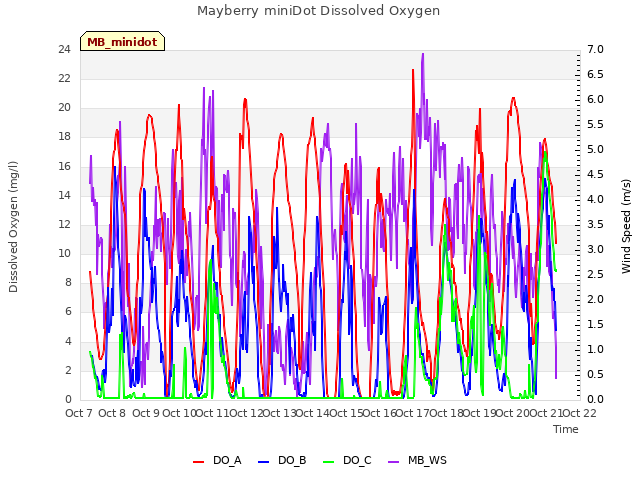 plot of Mayberry miniDot Dissolved Oxygen