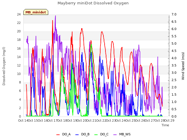 plot of Mayberry miniDot Dissolved Oxygen