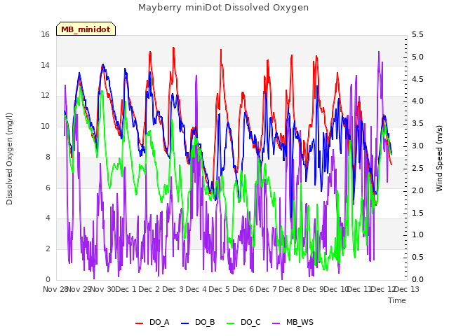 plot of Mayberry miniDot Dissolved Oxygen