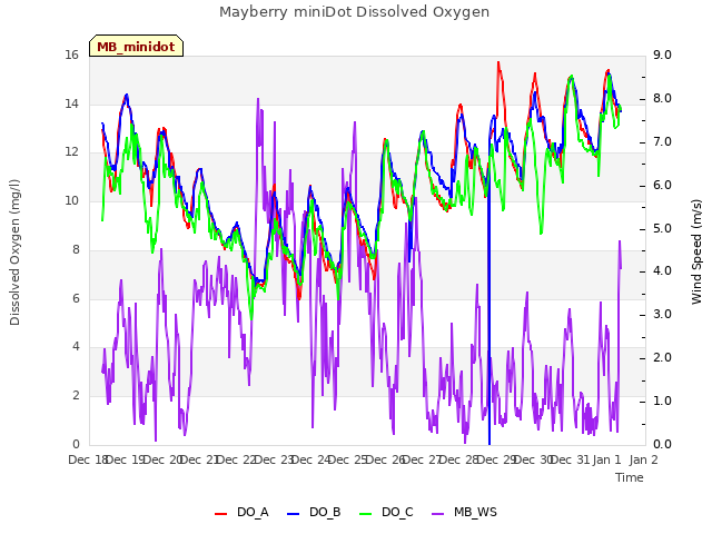 plot of Mayberry miniDot Dissolved Oxygen