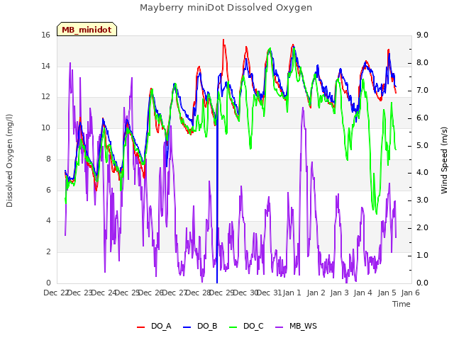 plot of Mayberry miniDot Dissolved Oxygen