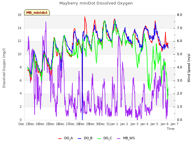 plot of Mayberry miniDot Dissolved Oxygen