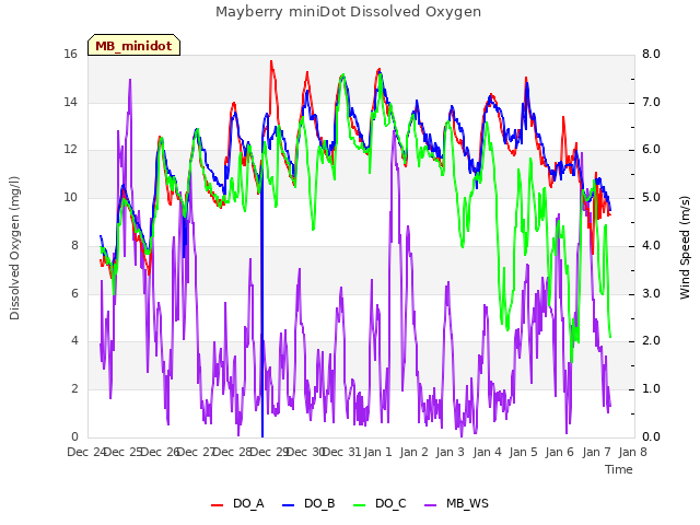 plot of Mayberry miniDot Dissolved Oxygen