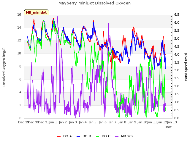 plot of Mayberry miniDot Dissolved Oxygen