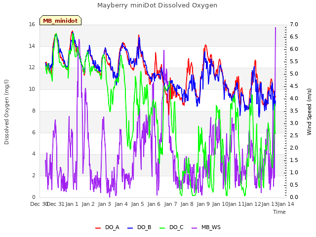 plot of Mayberry miniDot Dissolved Oxygen