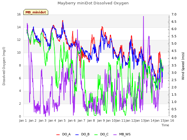 plot of Mayberry miniDot Dissolved Oxygen