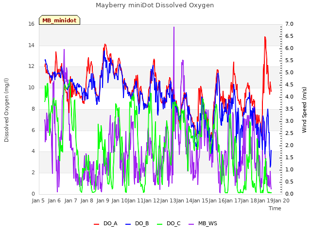 plot of Mayberry miniDot Dissolved Oxygen