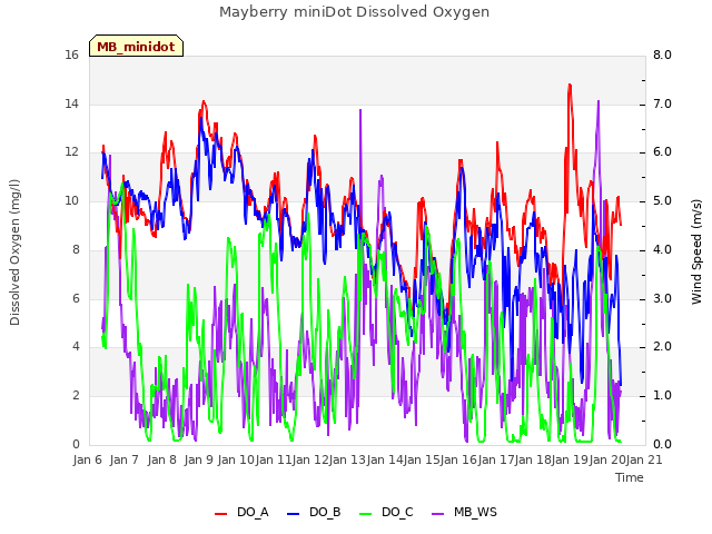 plot of Mayberry miniDot Dissolved Oxygen