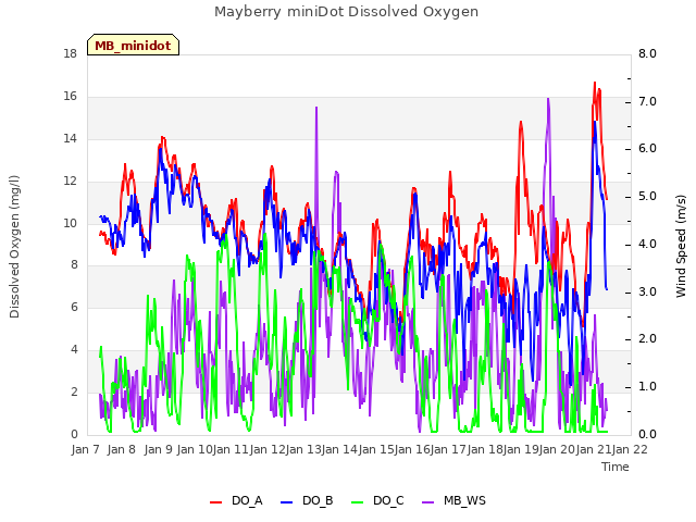 plot of Mayberry miniDot Dissolved Oxygen