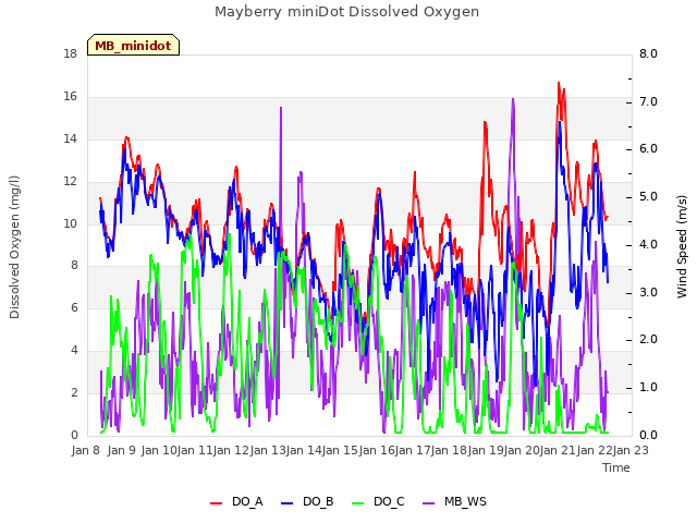 plot of Mayberry miniDot Dissolved Oxygen