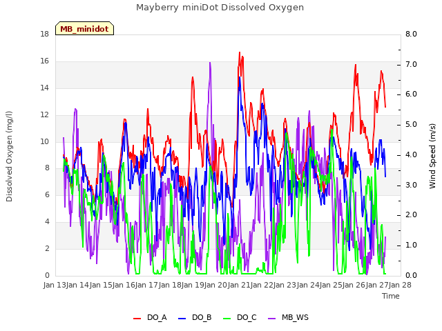 plot of Mayberry miniDot Dissolved Oxygen