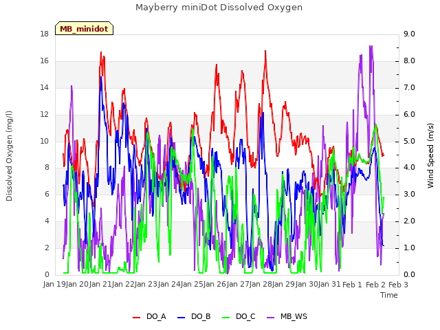 plot of Mayberry miniDot Dissolved Oxygen