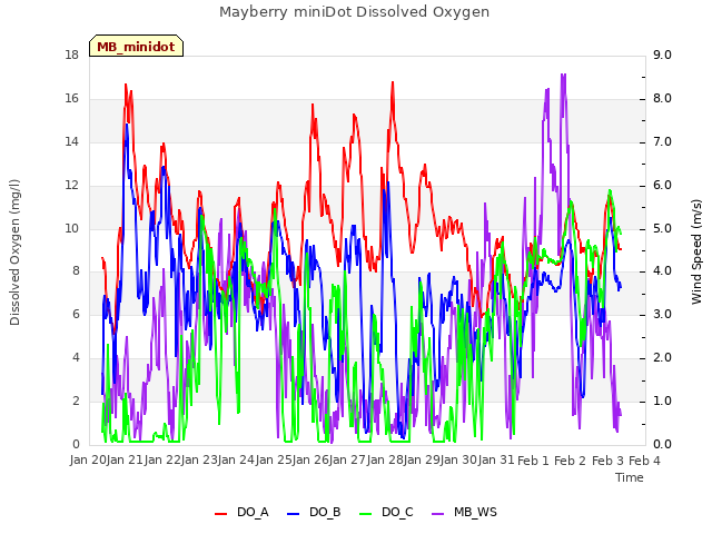 plot of Mayberry miniDot Dissolved Oxygen