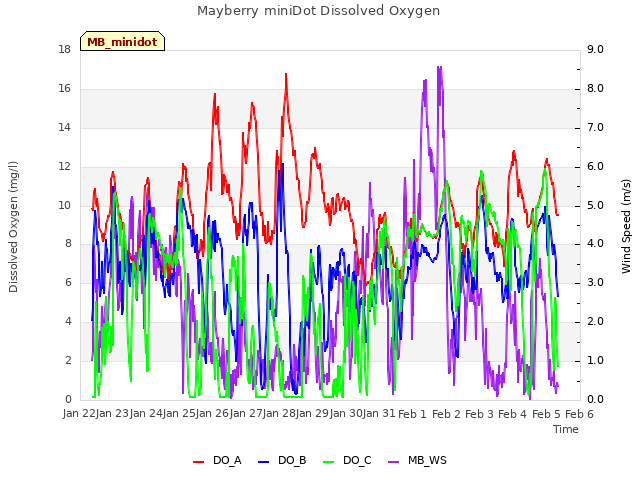 plot of Mayberry miniDot Dissolved Oxygen