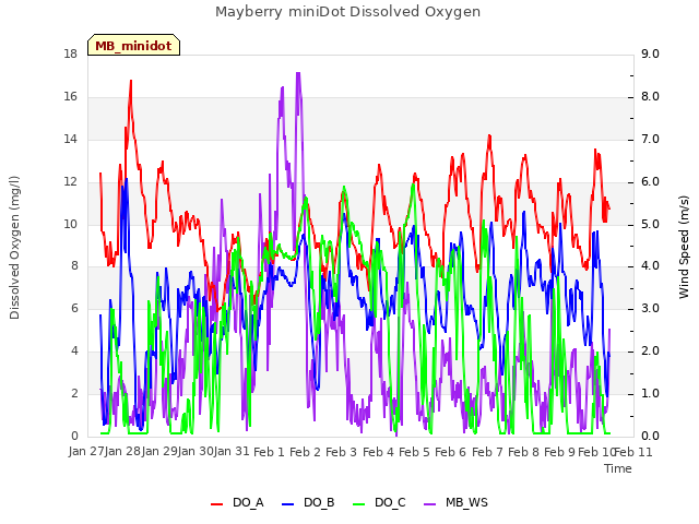 plot of Mayberry miniDot Dissolved Oxygen