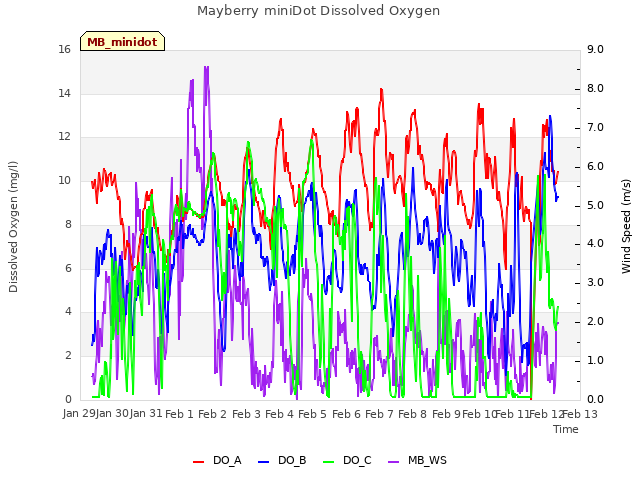 plot of Mayberry miniDot Dissolved Oxygen