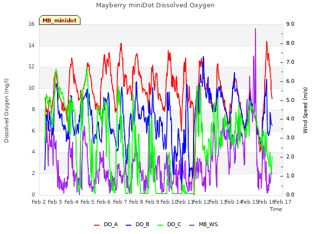 plot of Mayberry miniDot Dissolved Oxygen