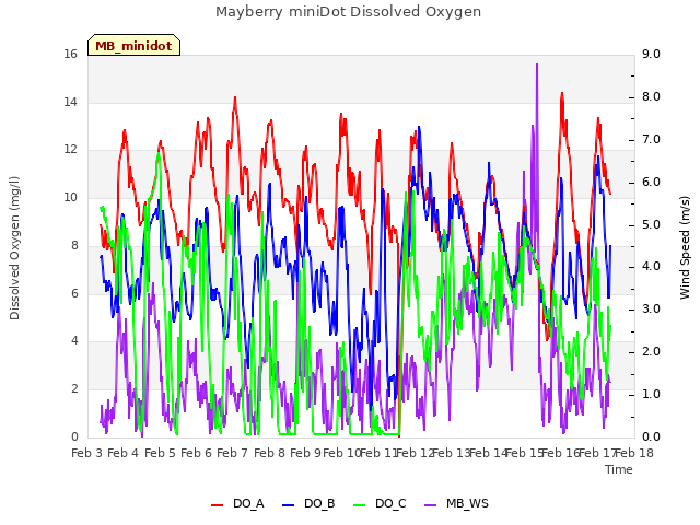 plot of Mayberry miniDot Dissolved Oxygen