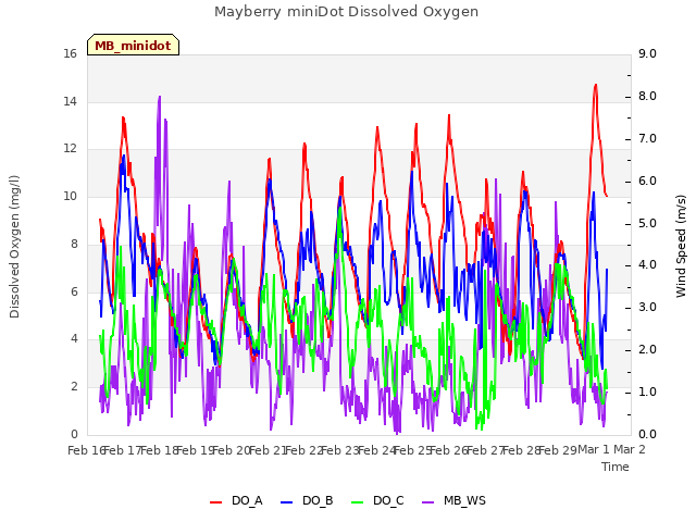 plot of Mayberry miniDot Dissolved Oxygen